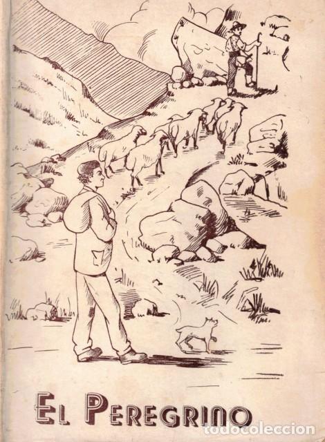 Libros: El peregrino - Vall Homs, Juan - Foto 1