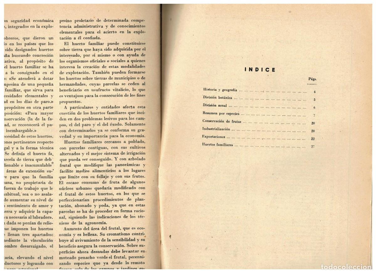 Libros: &Aacute;RBOLES FRUTALES. - Foto 2