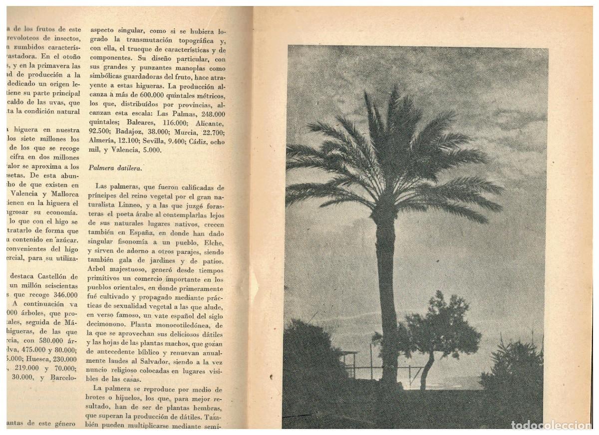 Libros: &Aacute;RBOLES FRUTALES. - Foto 3