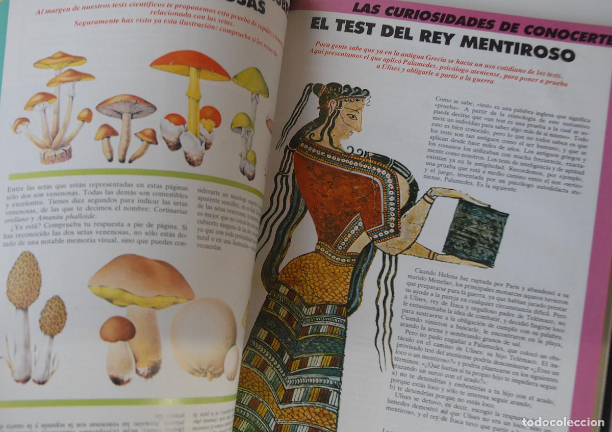 Libros: CONOCERTE - ENCICLOPEDIA ILUSTRADA DEL TEST - AGATA - Foto 9