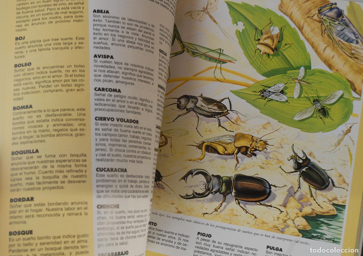Libros: CONOCERTE - ENCICLOPEDIA ILUSTRADA DEL TEST - AGATA - Foto 11