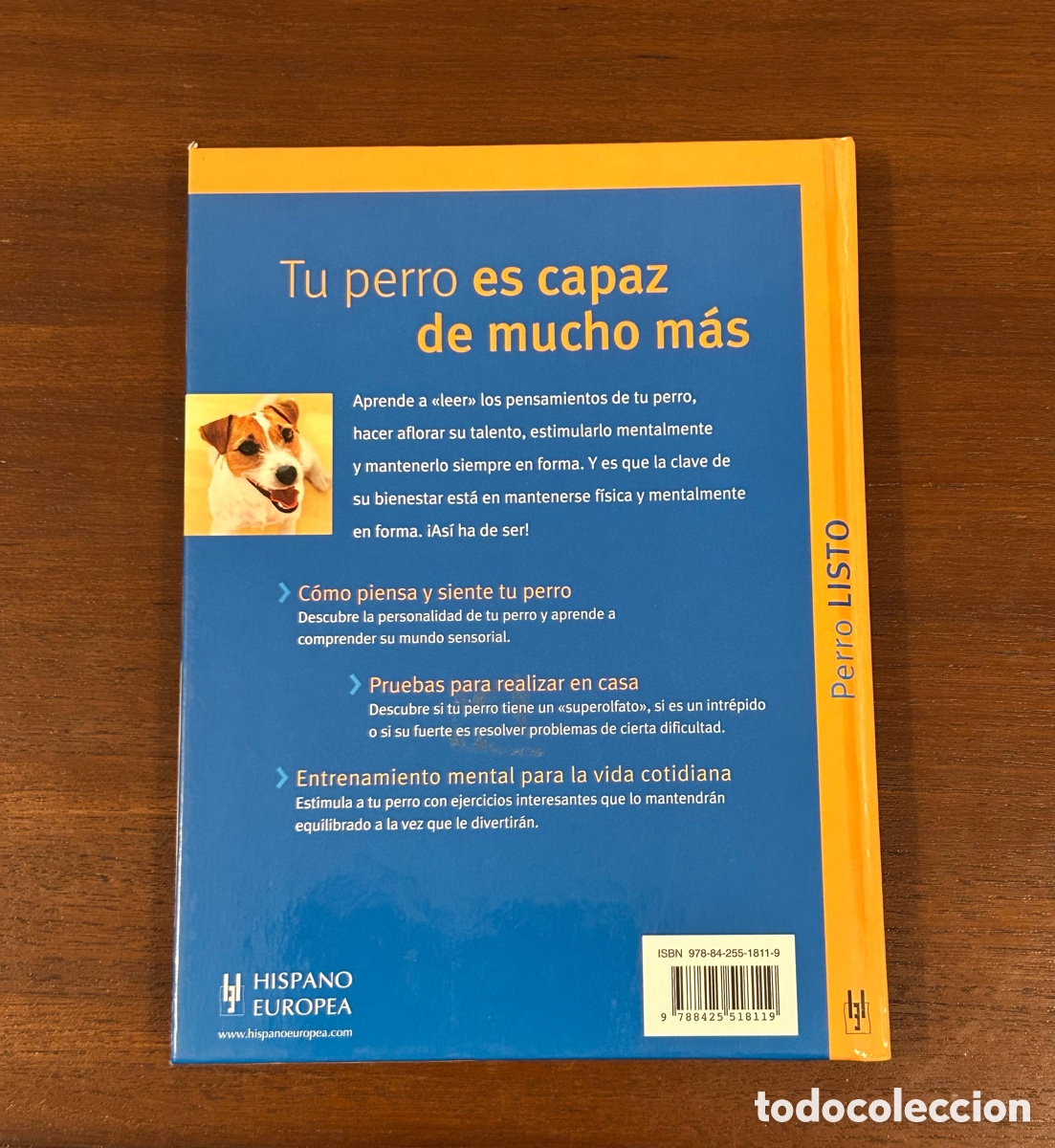 Libros: PERRO LISTO. IMMANUEL BIRMELIN. HISPANO EUROPEA - Foto 2