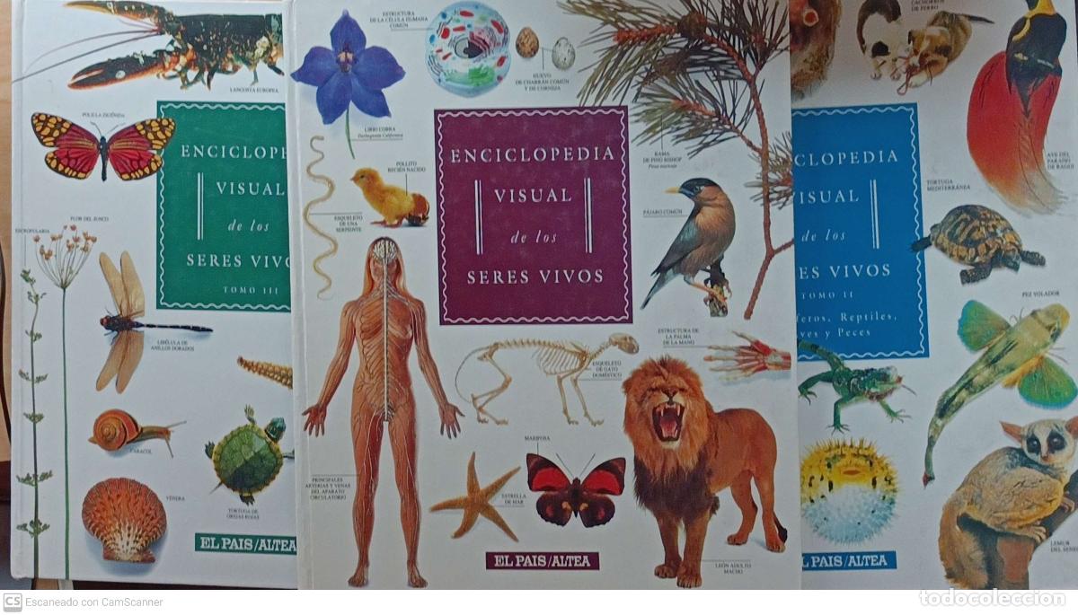 Libros: Enciclopedia visual de los seres vivos - Foto 1