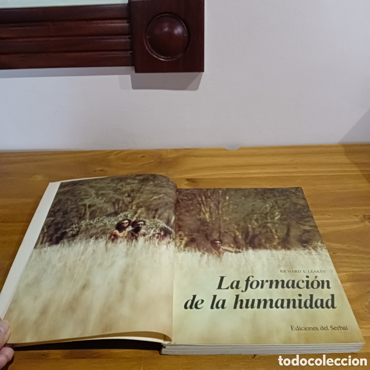 Libros: La formaci&oacute;n de la humanidad - Foto 3