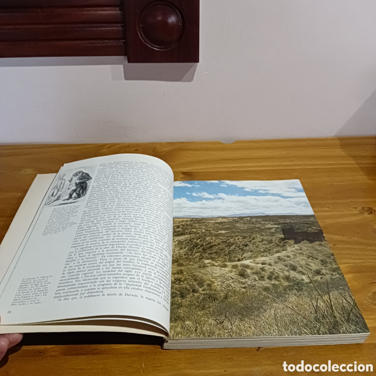 Libros: La formaci&oacute;n de la humanidad - Foto 5