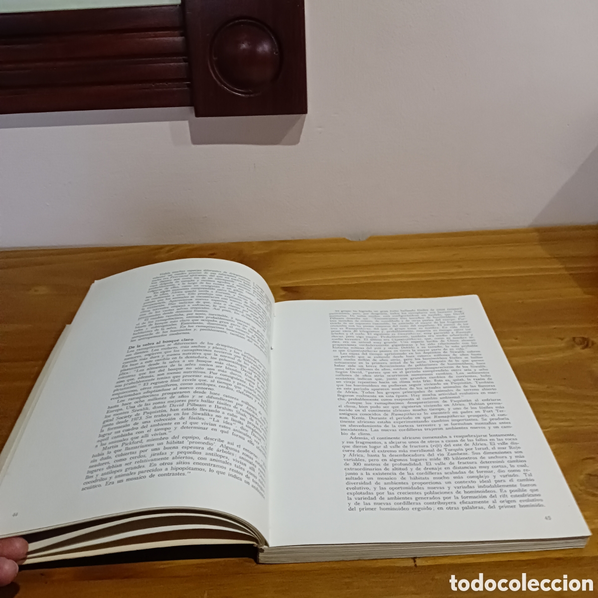 Libros: La formaci&oacute;n de la humanidad - Foto 6