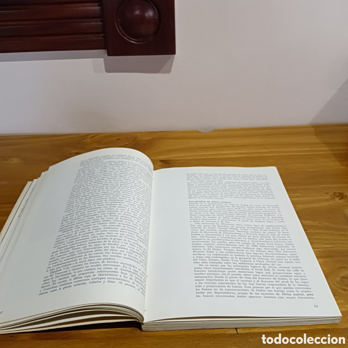 Libros: La formaci&oacute;n de la humanidad - Foto 7