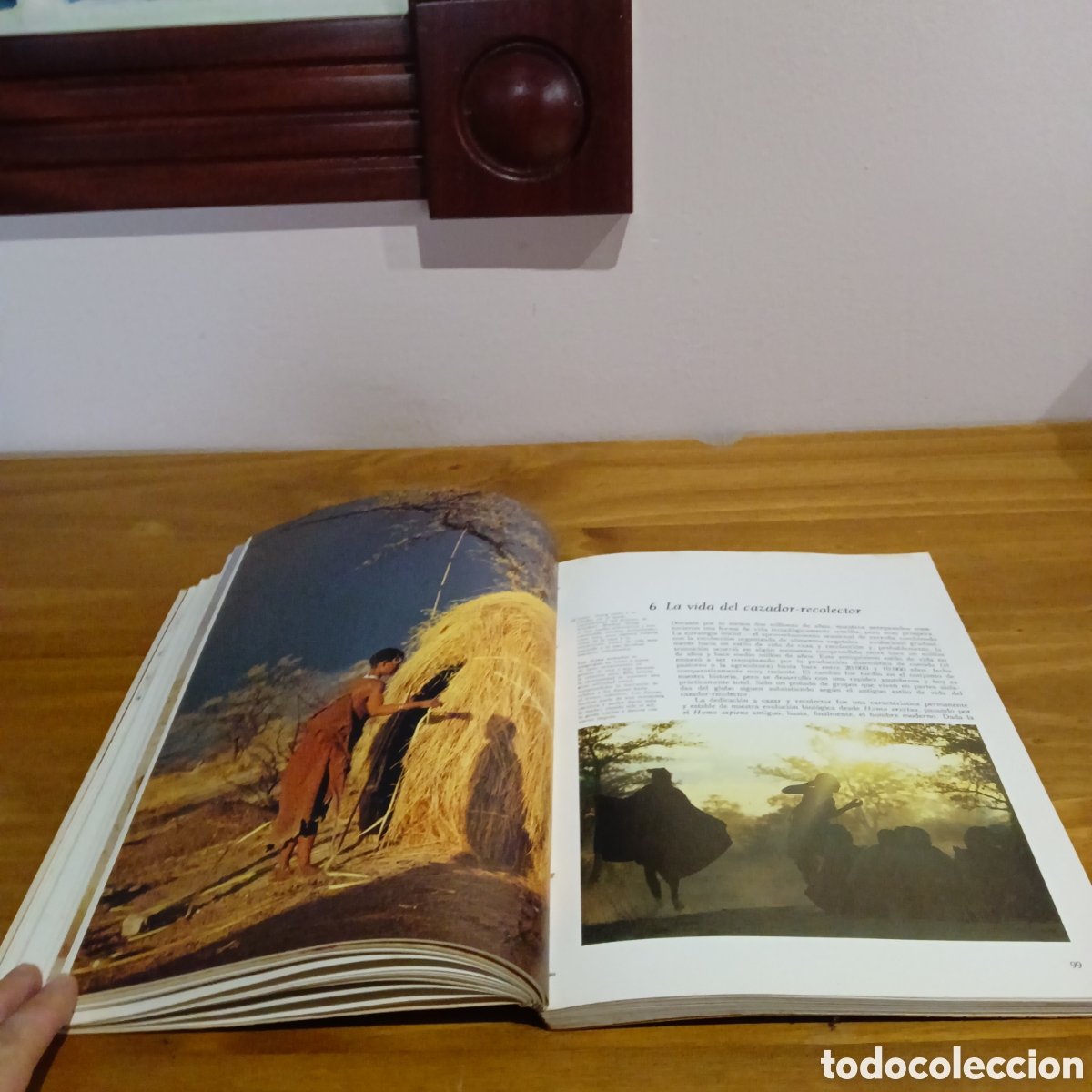 Libros: La formaci&oacute;n de la humanidad - Foto 8
