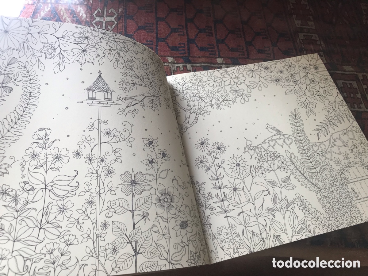 Libros: Secret Garden. Johanna Basford - Foto 5