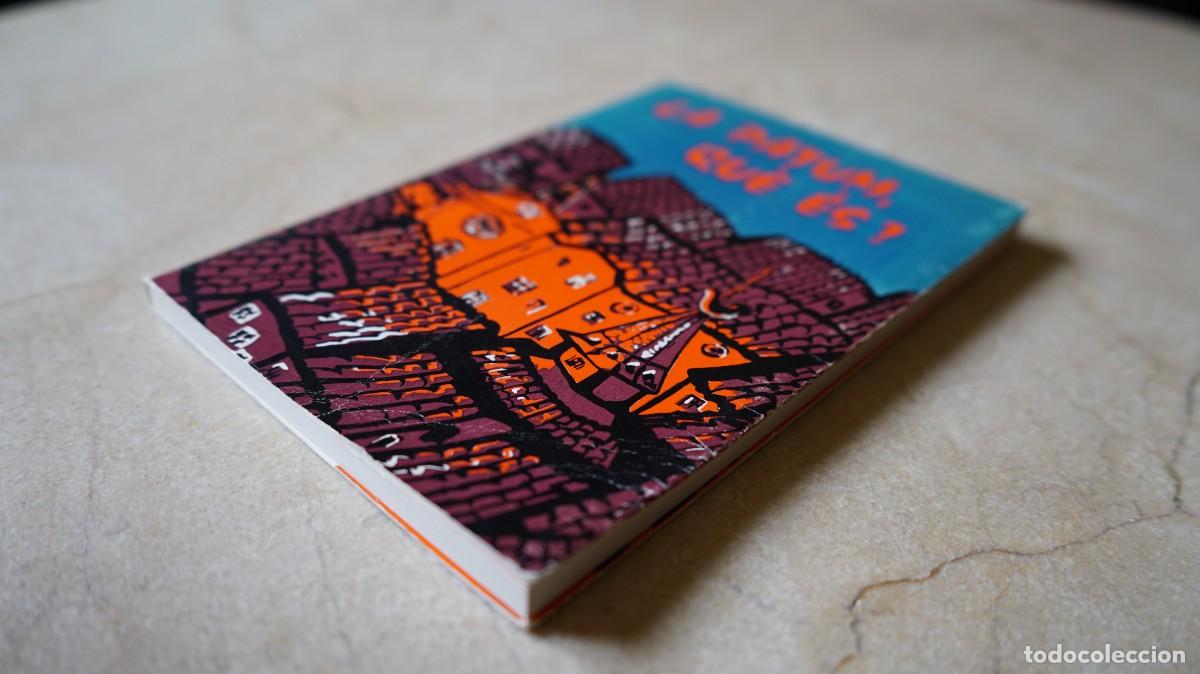Libros: La Patum, qu&egrave; &eacute;s? - Autors diversos - Foto 2