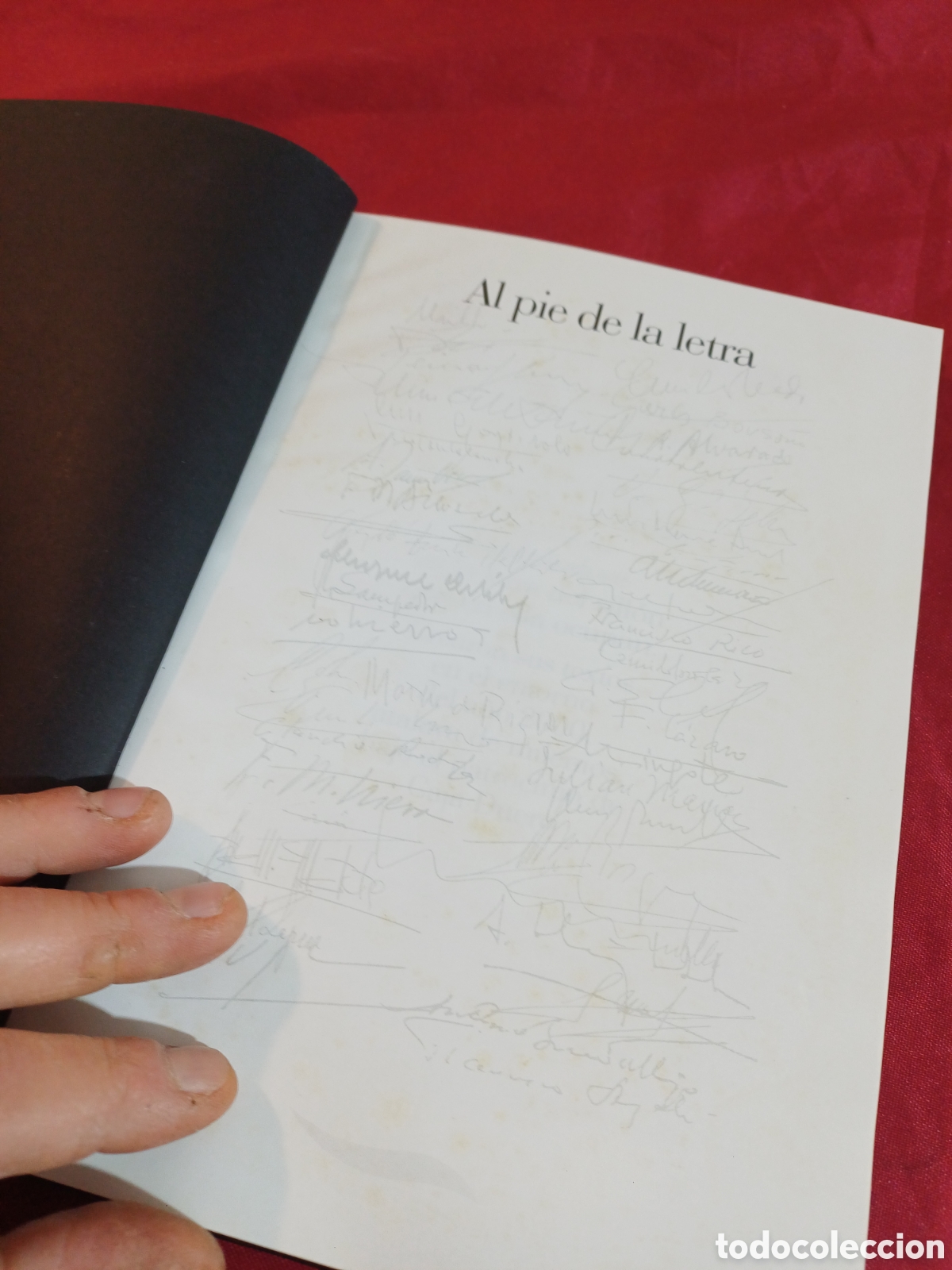 Libros: LIBRO, AL PIE DE LA LETRA, A&Ntilde;O 2001 - Foto 6