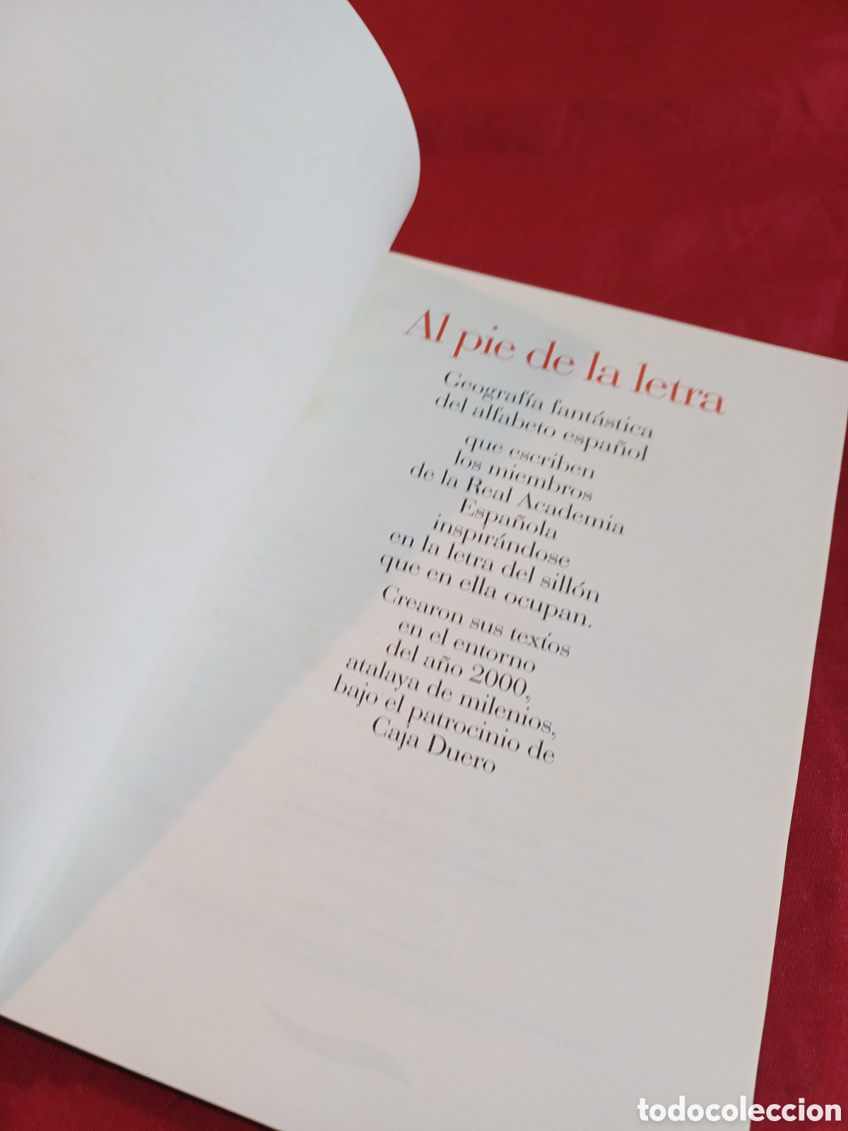Libros: LIBRO, AL PIE DE LA LETRA, A&Ntilde;O 2001 - Foto 7