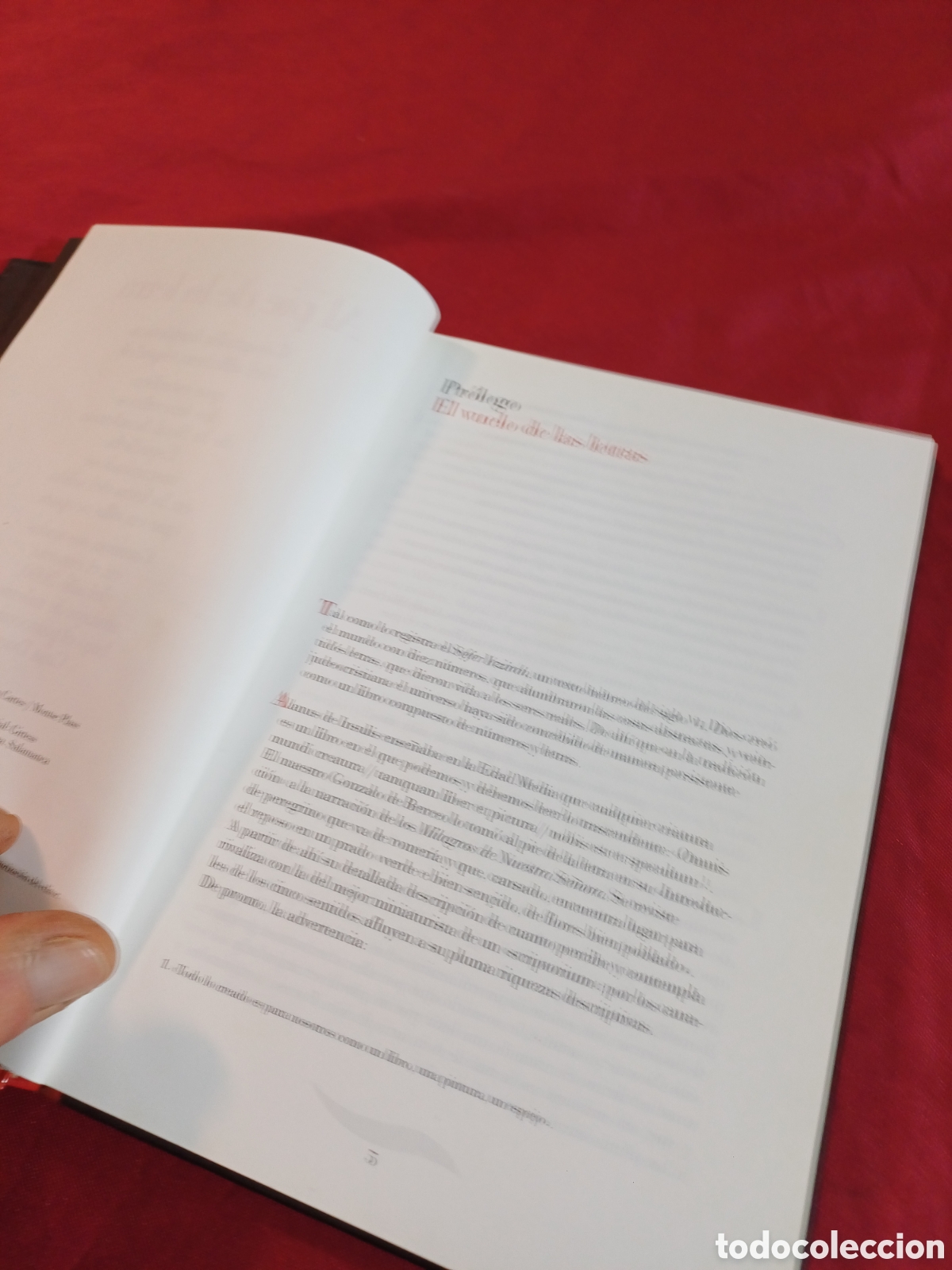 Libros: LIBRO, AL PIE DE LA LETRA, A&Ntilde;O 2001 - Foto 8