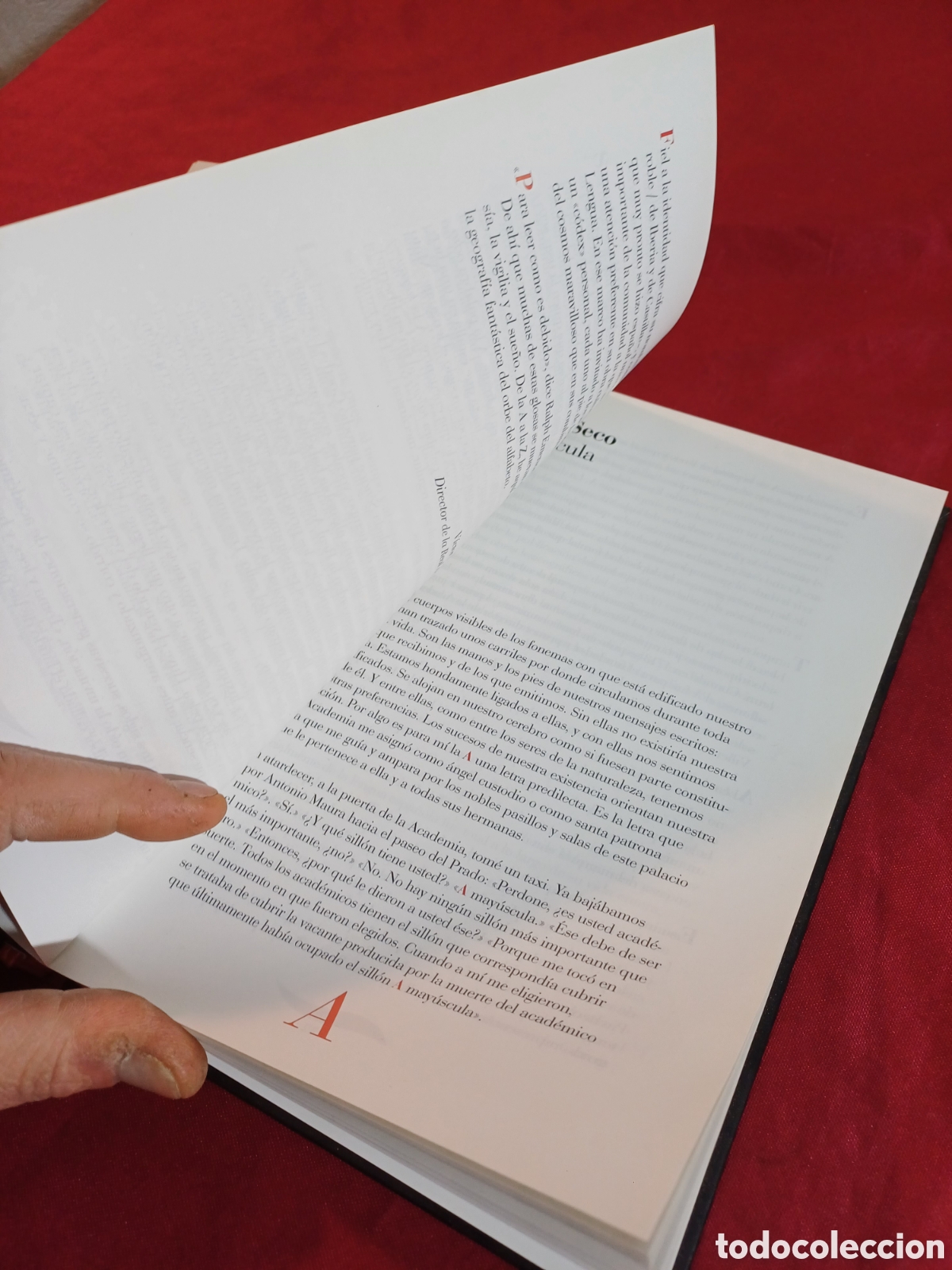 Libros: LIBRO, AL PIE DE LA LETRA, A&Ntilde;O 2001 - Foto 10