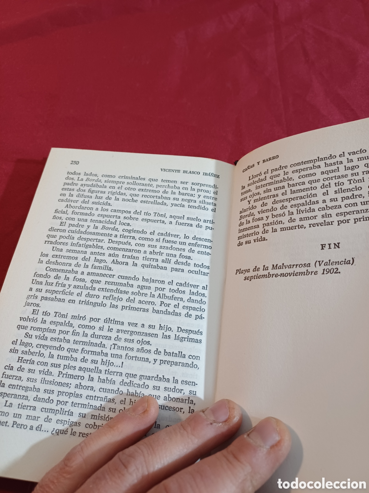 Libros: LIBRO, CA&Ntilde;AS Y BARRO, 1978 - Foto 4