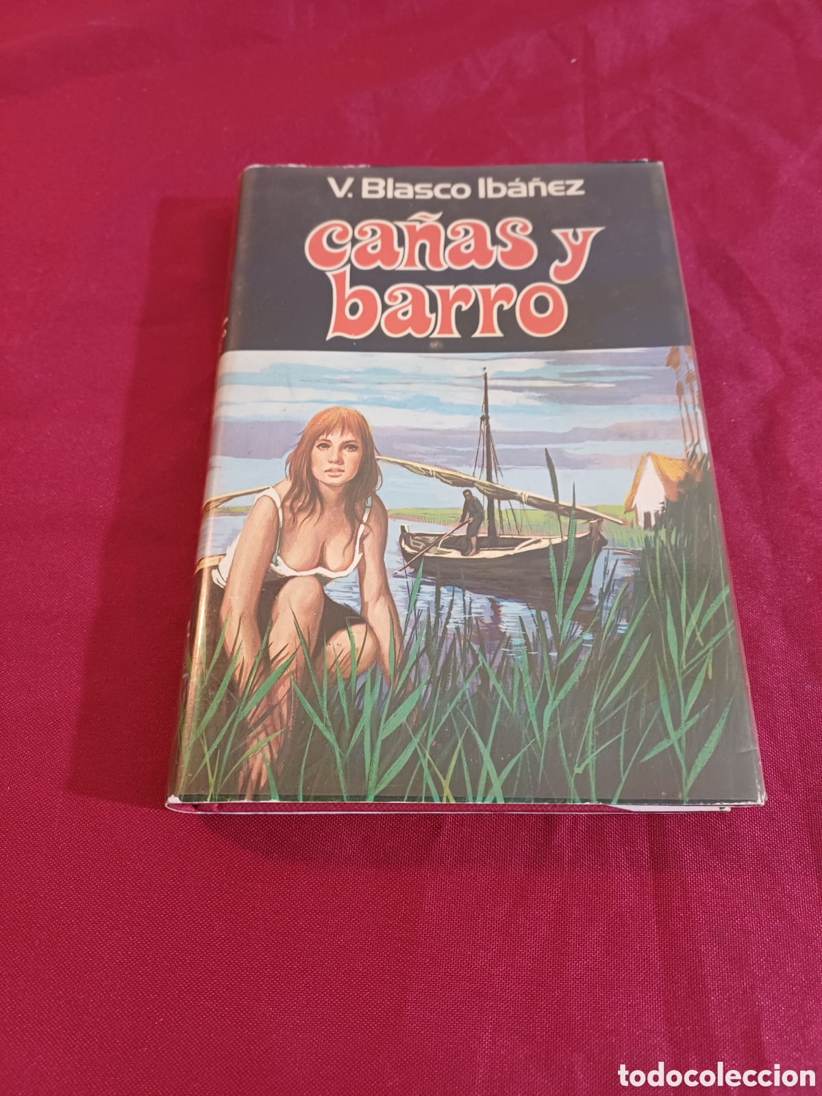Libros: LIBRO, CA&Ntilde;AS Y BARRO, 1978 - Foto 1