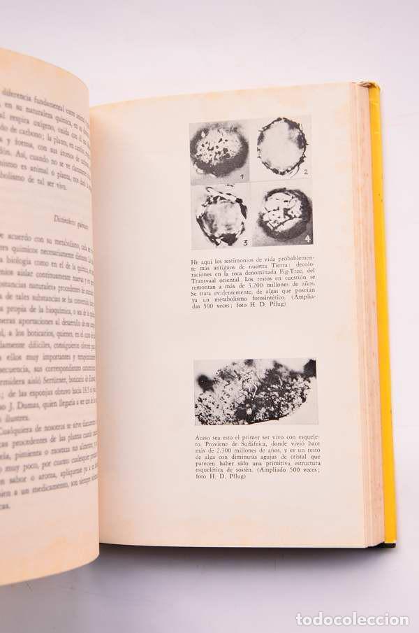 Libros: El origen de la vida - BOSCHKE, F. L. - Foto 4