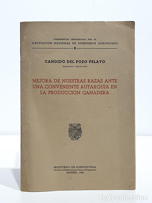 Livres: Mejora de nuestras razas ante una conveniente autarqu&iacute;a en la producci&oacute;n ganadera. - POZO PELAYO, C&aacute;