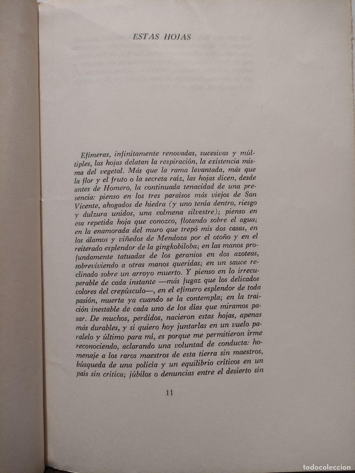 Libros: LAS HOJAS 1940 - 1949 - DANIEL DEVOTO - Dedicatoria y firma del Autor - Foto 6