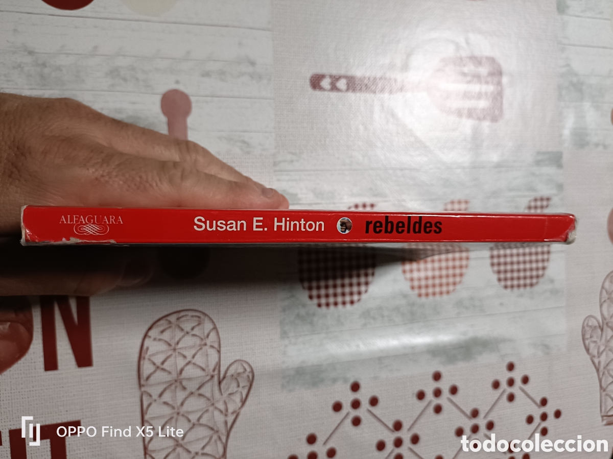 Libros: Libro Rebeldes -Susan E. Hinton- Ed. Alfaguara - Foto 2