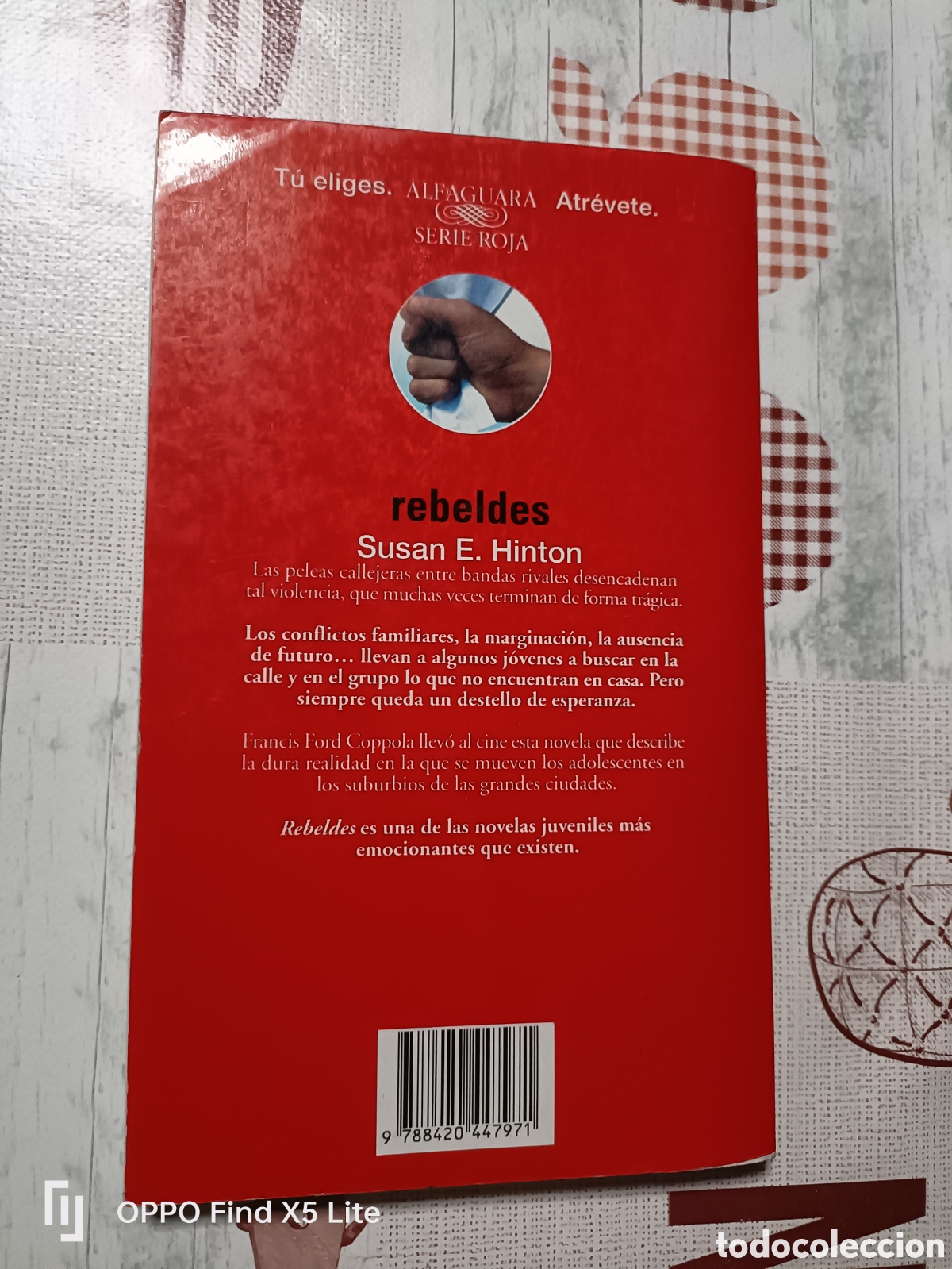 Libros: Libro Rebeldes -Susan E. Hinton- Ed. Alfaguara - Foto 3