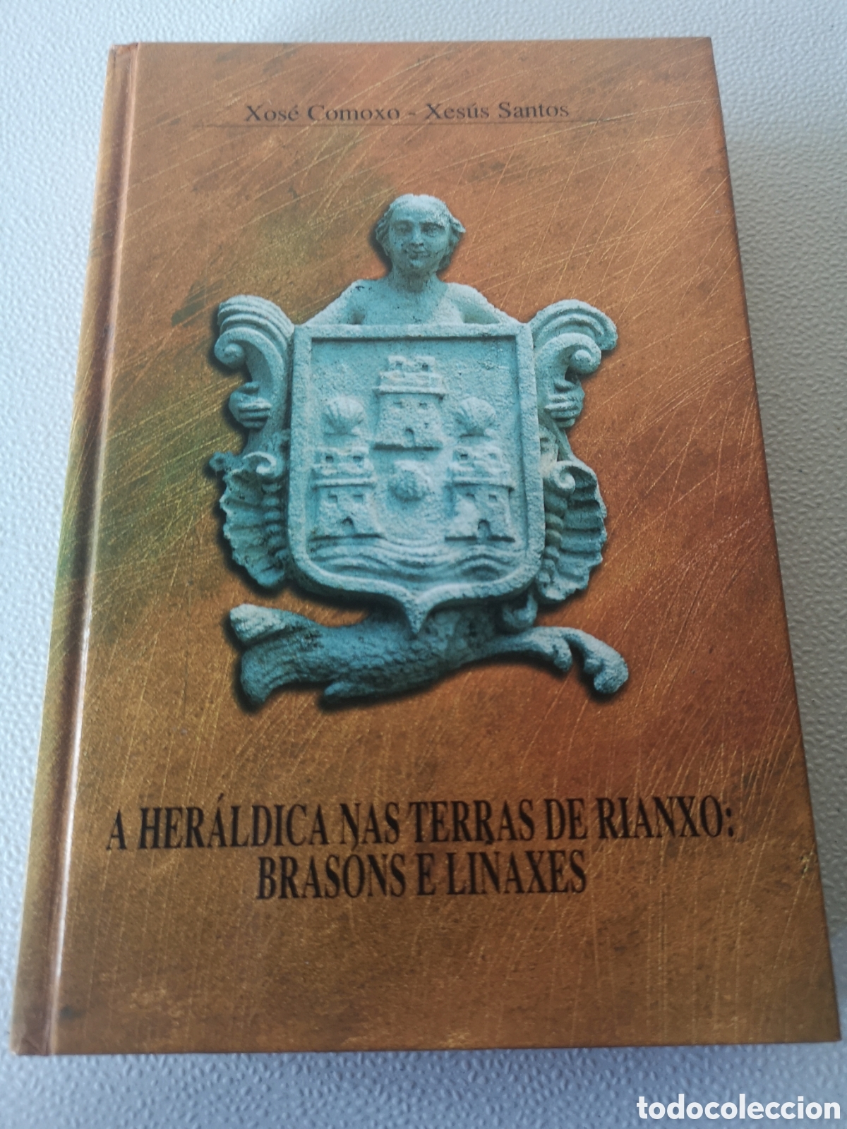 A Her&aacute;ldica nas terras de Rianxo: Blasons e linaxes