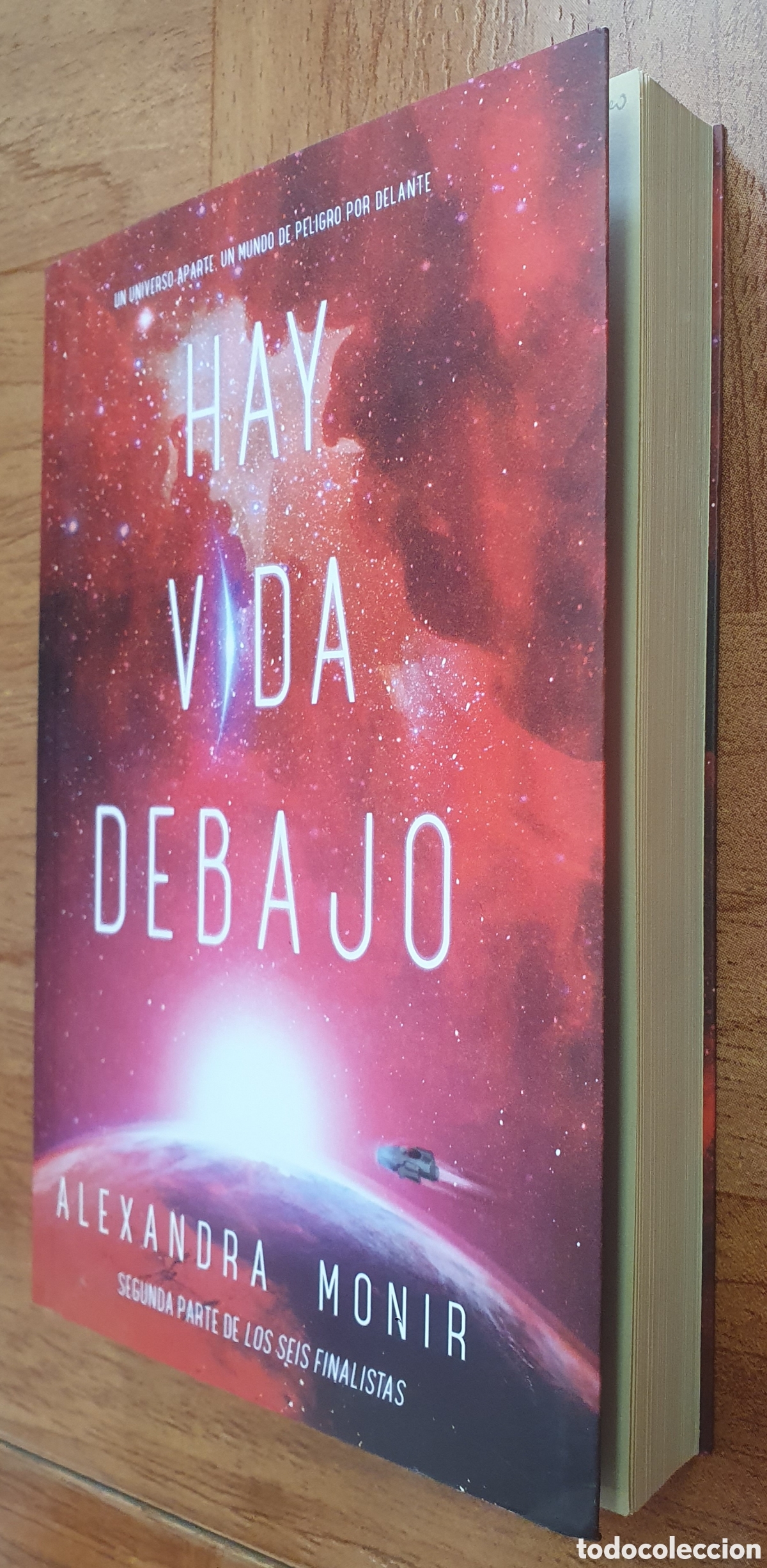 Libros: Hay vida debajo - Alexandra Monir - Foto 2