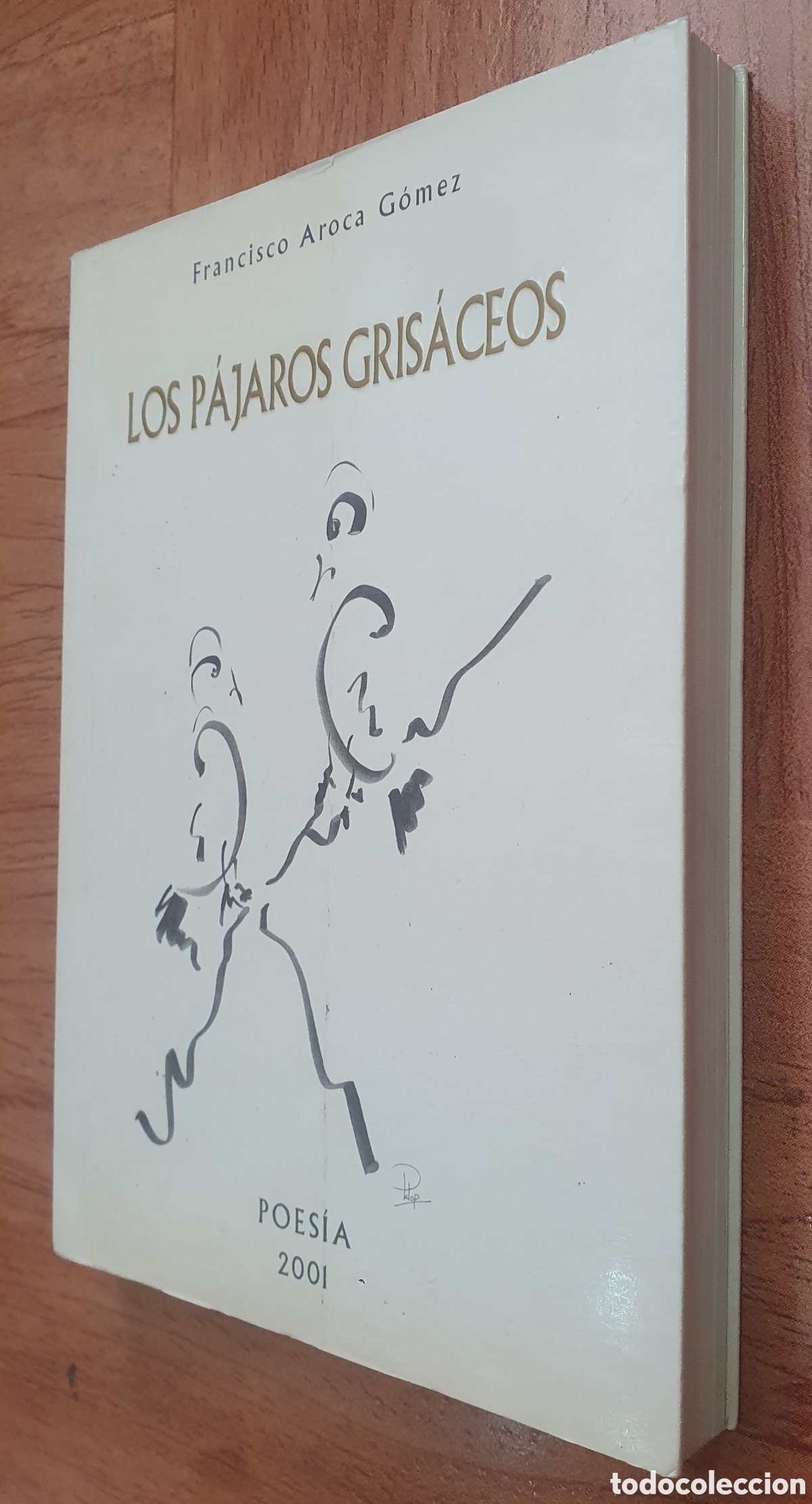 Libros: Los P&aacute;jaros Gris&aacute;ceos - Francisco Aroca G&oacute;mez - Foto 2