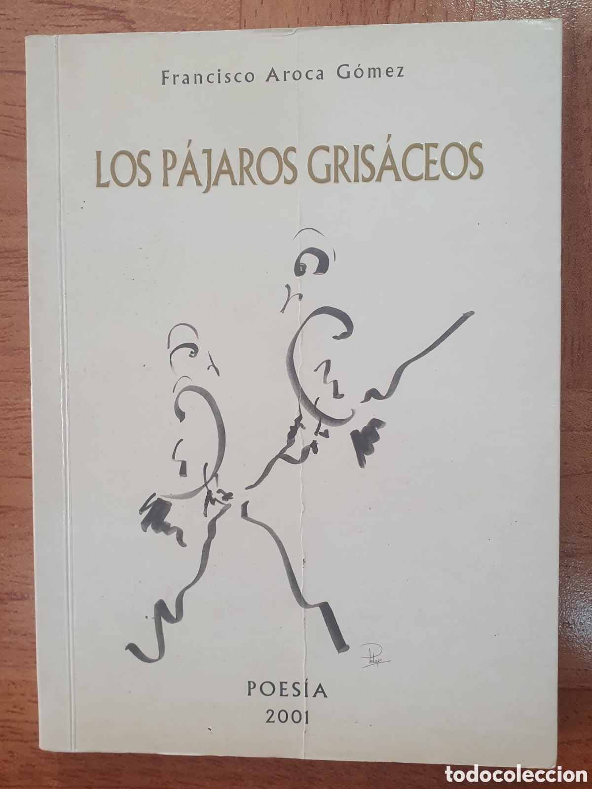 Libros: Los P&aacute;jaros Gris&aacute;ceos - Francisco Aroca G&oacute;mez - Foto 3