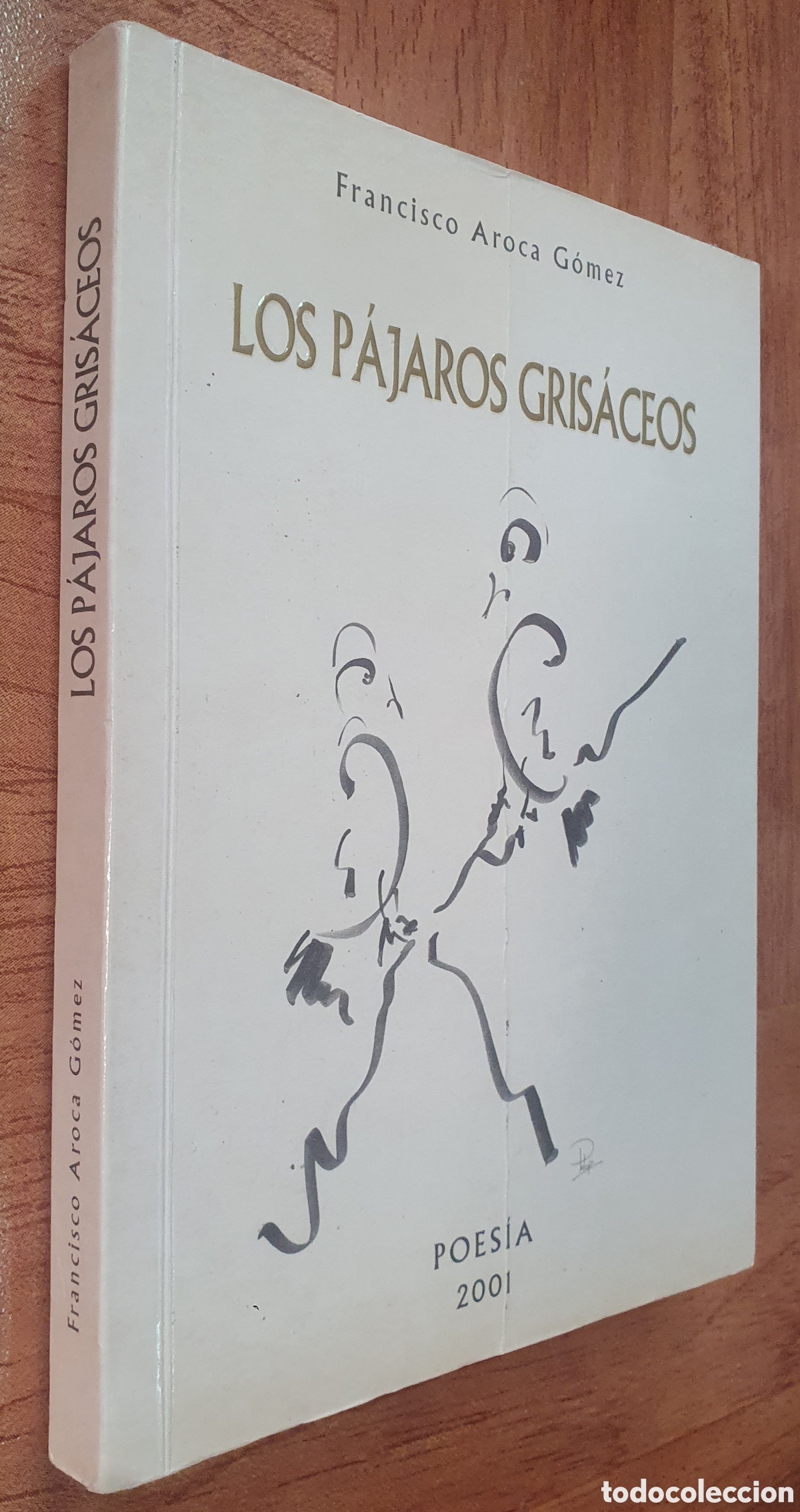 Libros: Los P&aacute;jaros Gris&aacute;ceos - Francisco Aroca G&oacute;mez - Foto 1