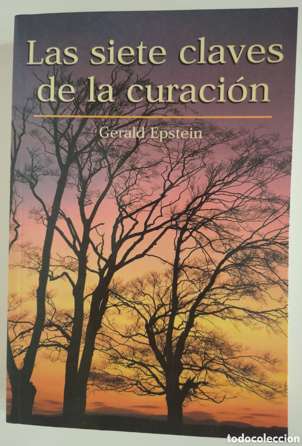 Libros: LAS SIETE CLAVES DE LA CURACI&Oacute;N - GERALD EPSTEIN - Foto 1