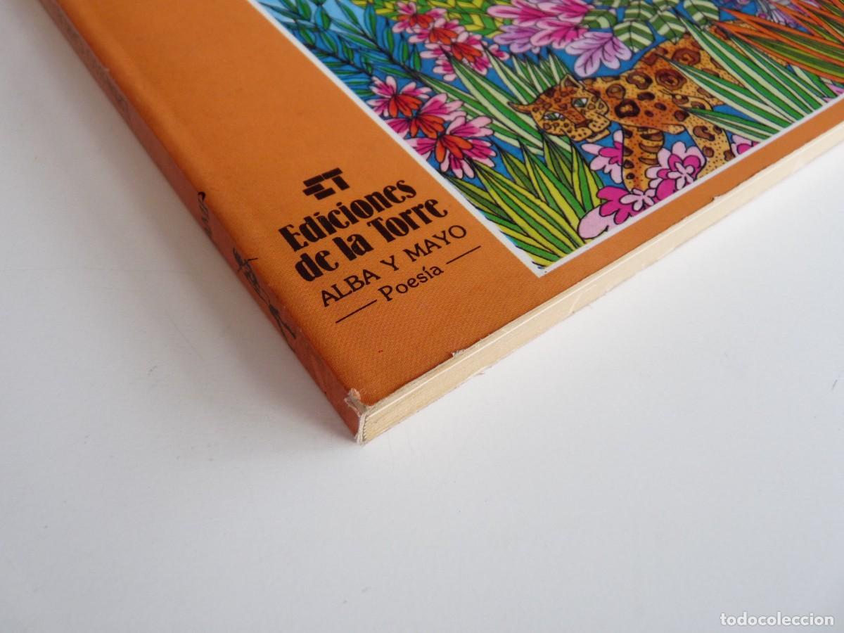 Libros: Ernesto Cardenal para ni&ntilde;os Ref: 2-161 - Foto 3