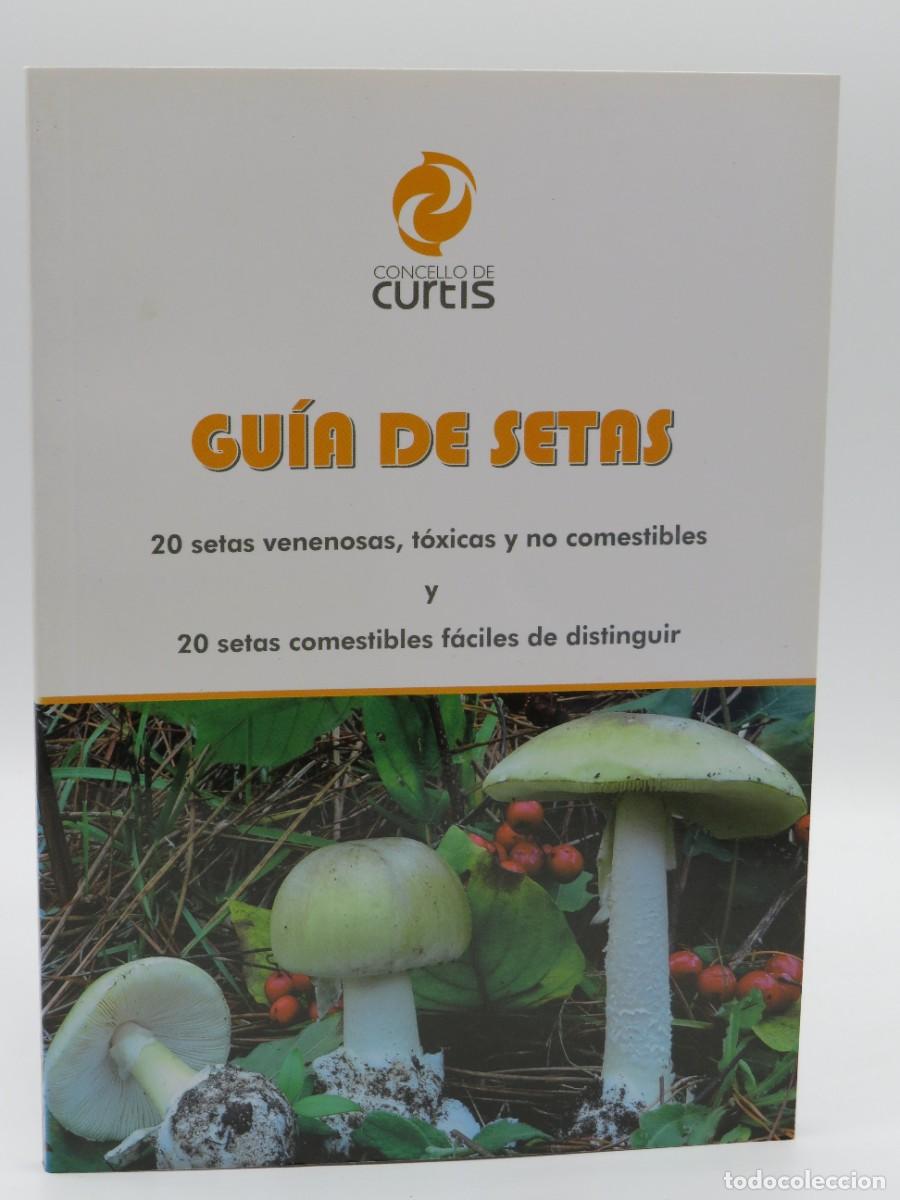 Libros: Guia de Setas - Concello de Curtis - Editorial Sin Especificar - Foto 1