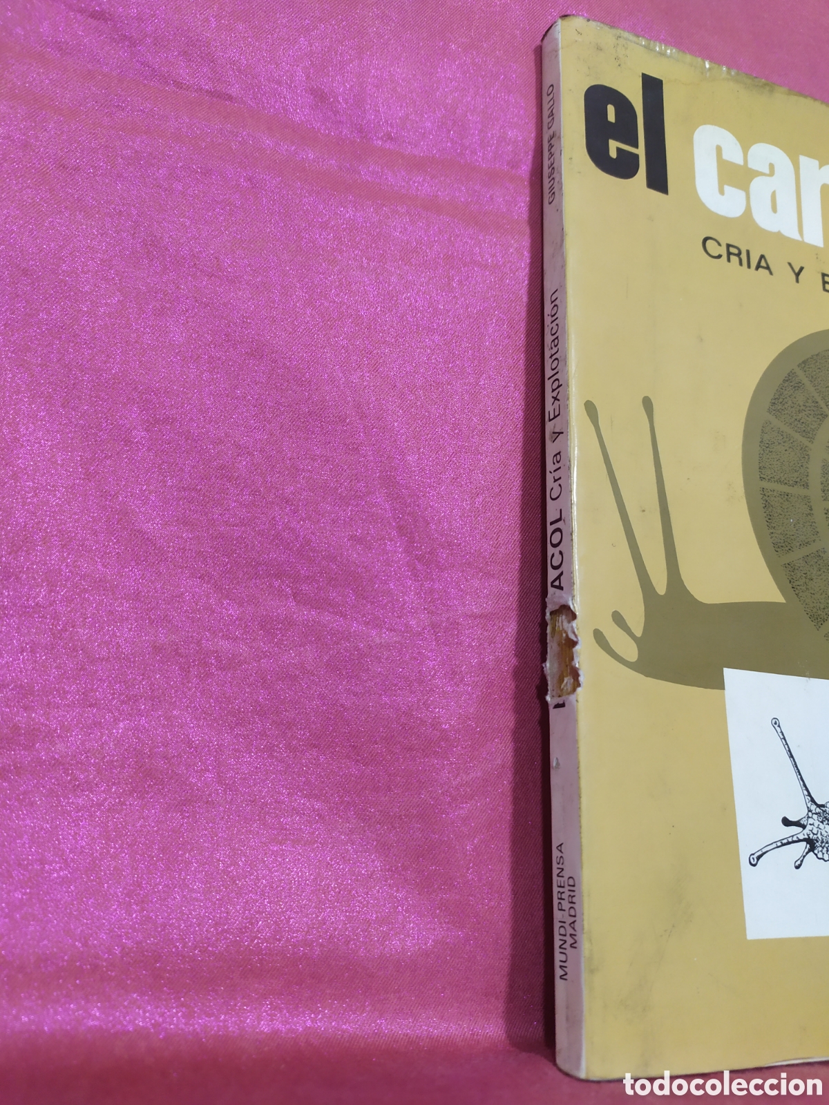 Libros: El Caracol cria y explotaci&oacute;n de Giuseppe Gallo - Foto 3