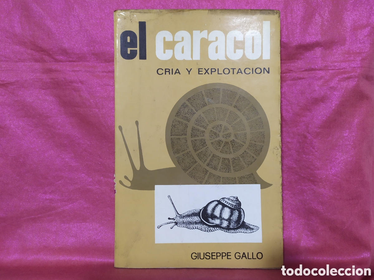 Libros: El Caracol cria y explotaci&oacute;n de Giuseppe Gallo - Foto 1