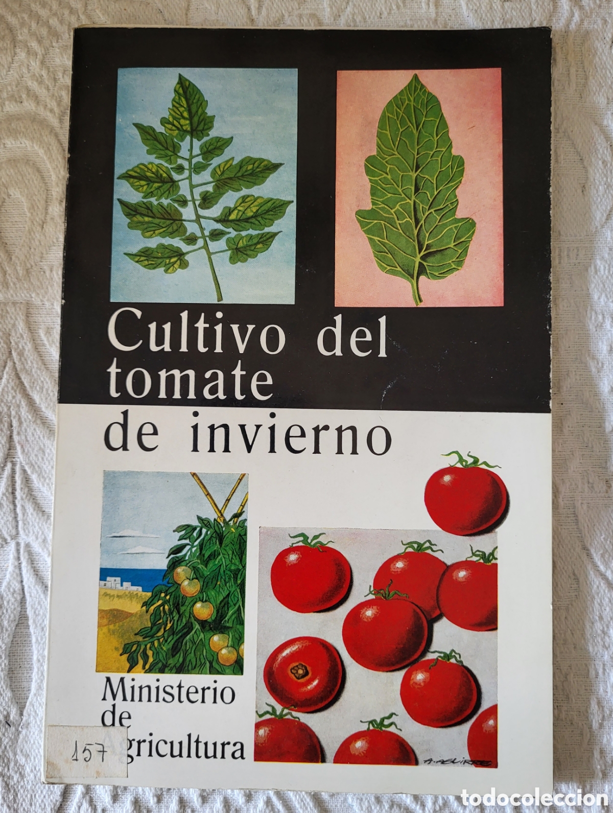 Libros: Cultivo del tomate de invierno. MIGUEL GARCIA MORATO