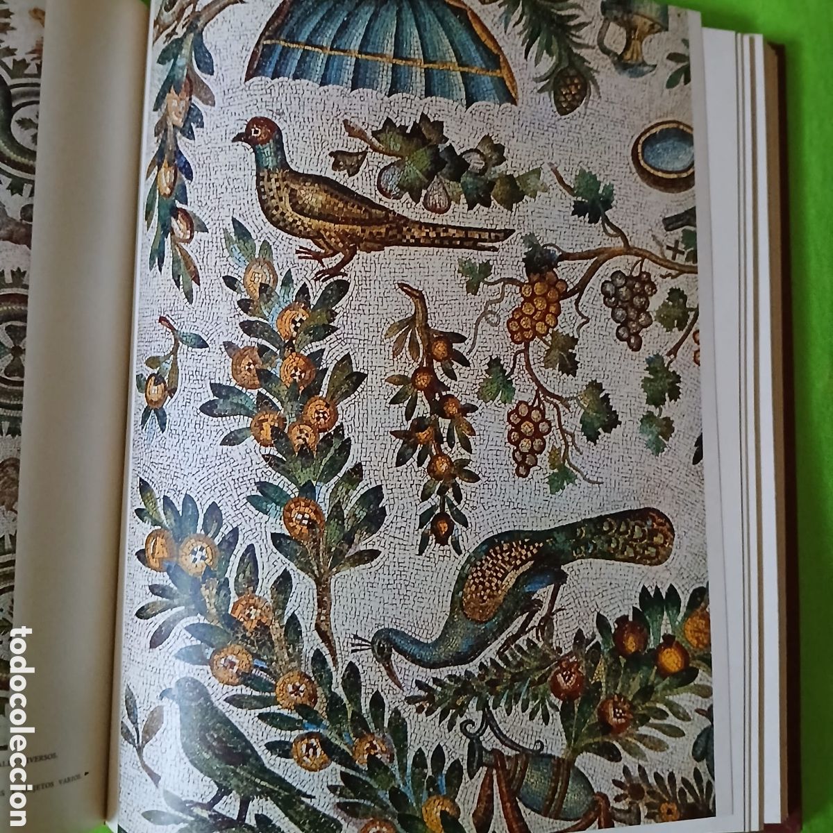 Libros: El universo de las formas. Ed aguilar - Foto 9