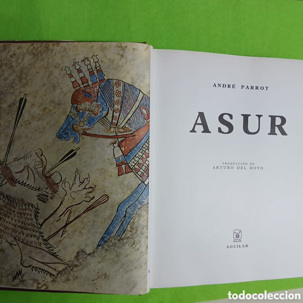 Libros: El universo de las formas. Ed aguilar - Foto 16
