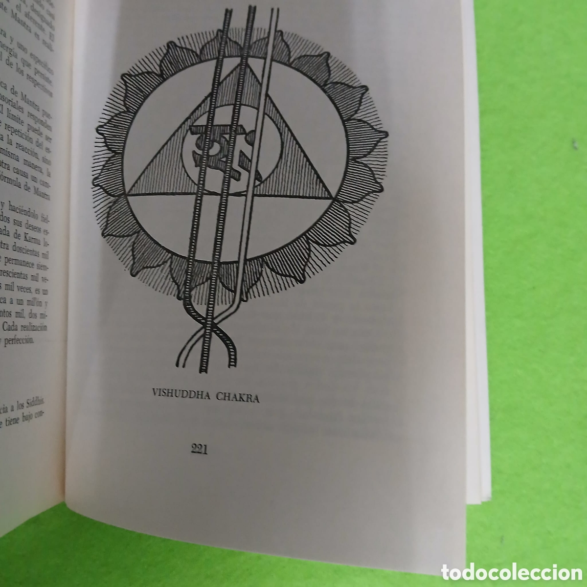Libros: El camino Practico del yoga - Foto 6