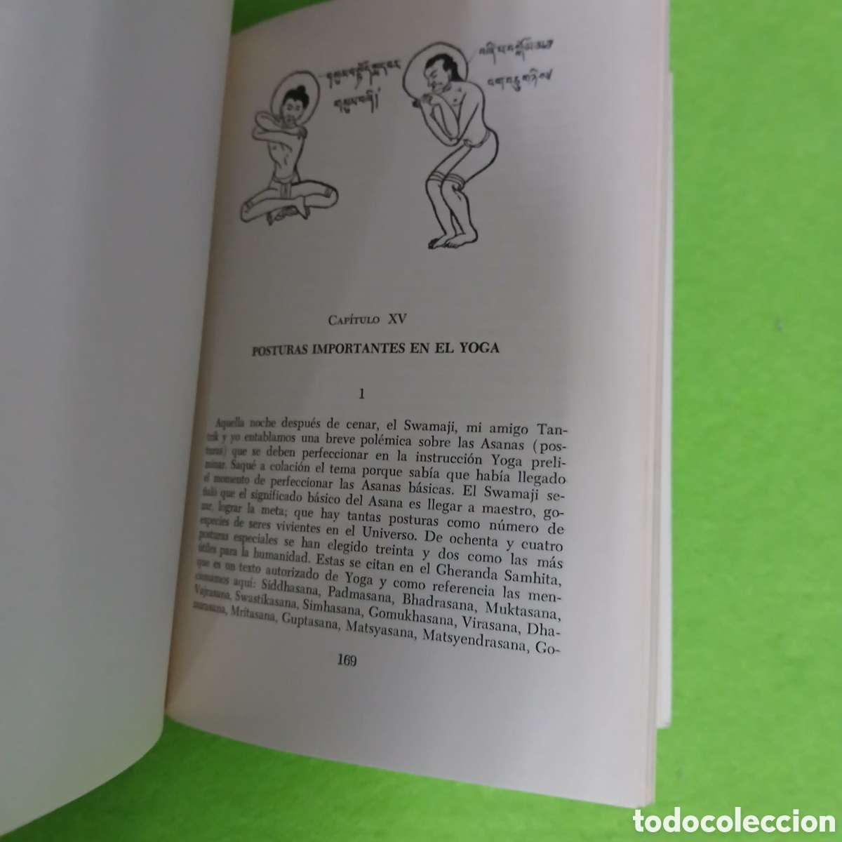 Libros: El camino Practico del yoga - Foto 7