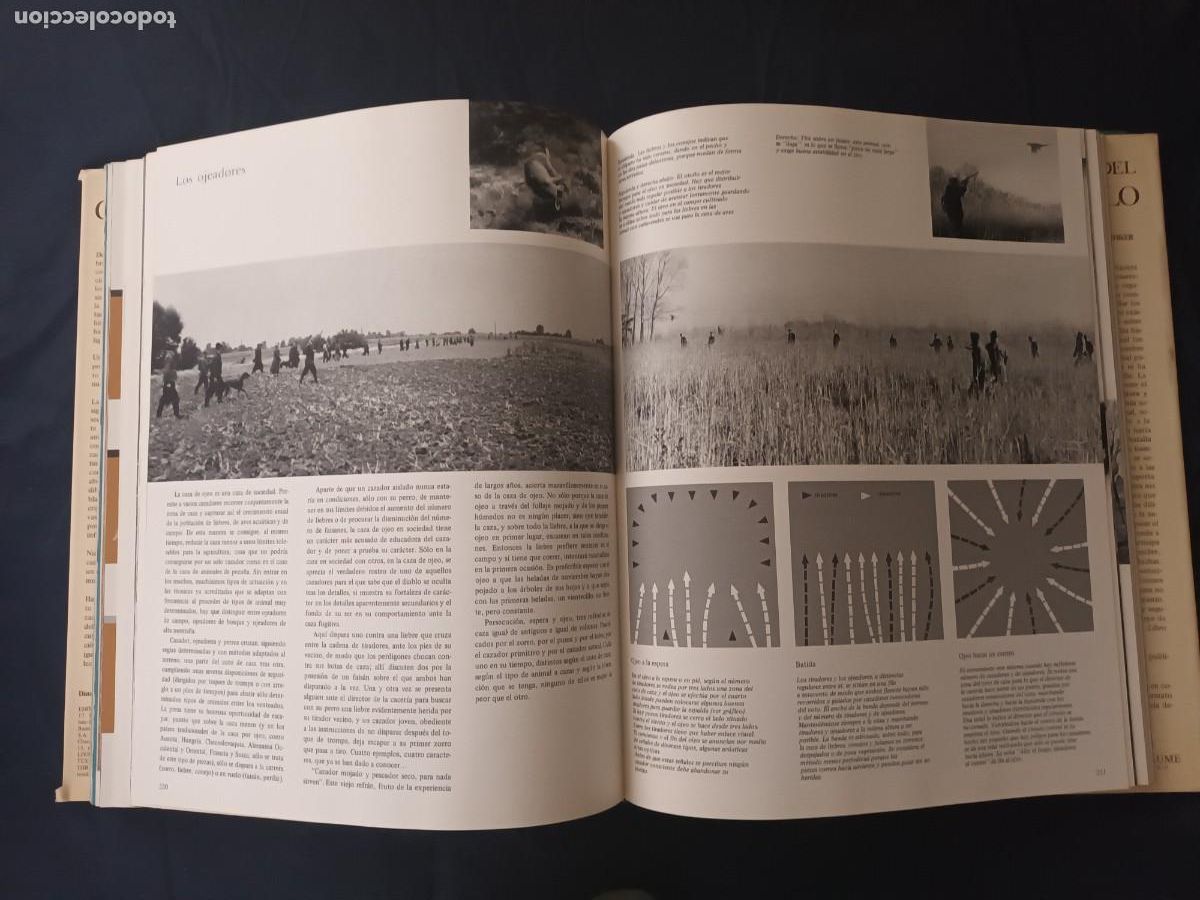 Libros: El gran libro de la caza / Blume - Foto 13