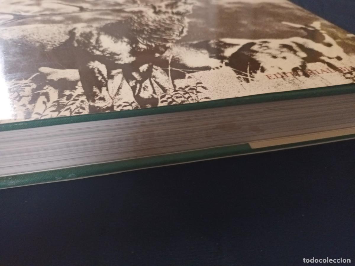 Libros: El gran libro de la caza / Blume - Foto 14