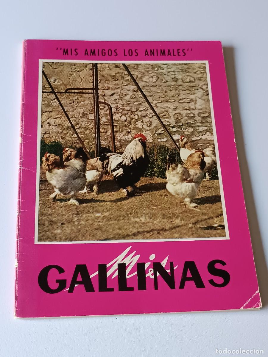 Libros: MIS AMIGOS LOS ANIMALES GALLINAS - Foto 1