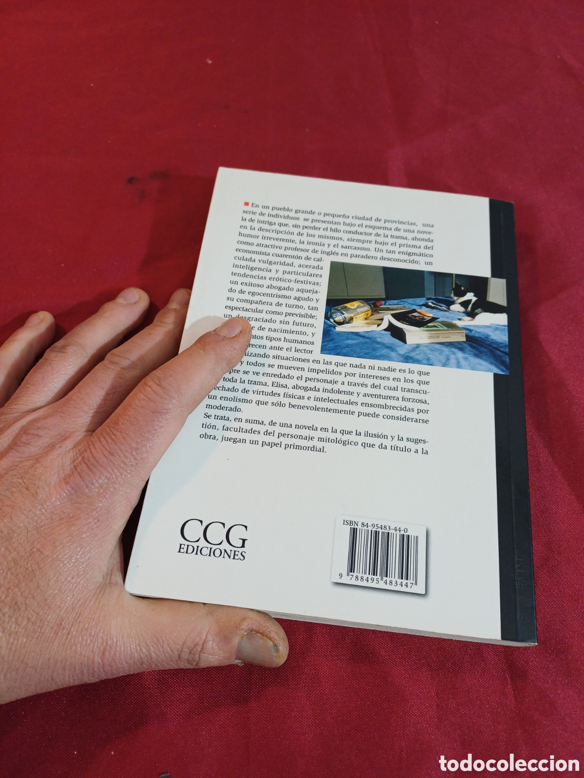 Libros: LIBRO, FANTASO, ALICIA ESTOPI&Ntilde;&Aacute;, 2003 - Foto 3