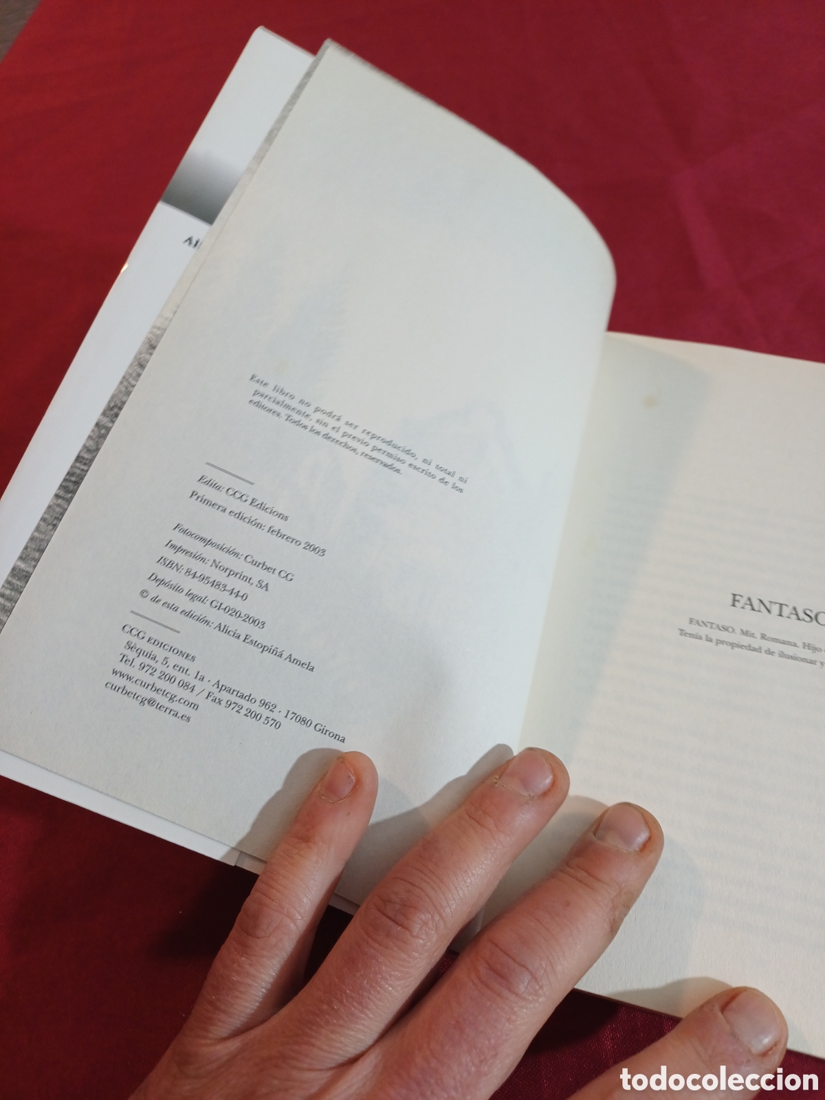 Libros: LIBRO, FANTASO, ALICIA ESTOPI&Ntilde;&Aacute;, 2003 - Foto 6