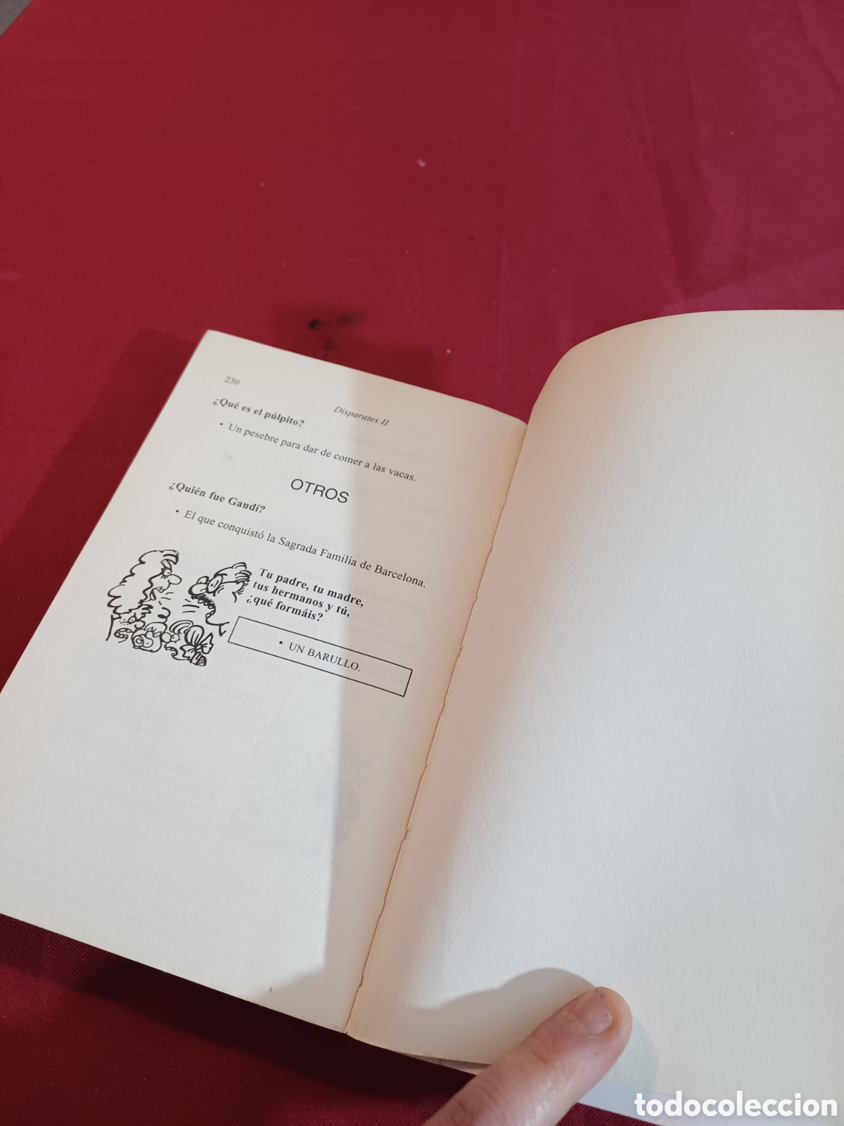 Libros: LIBRO, DISPARATES II, 1993 - Foto 7