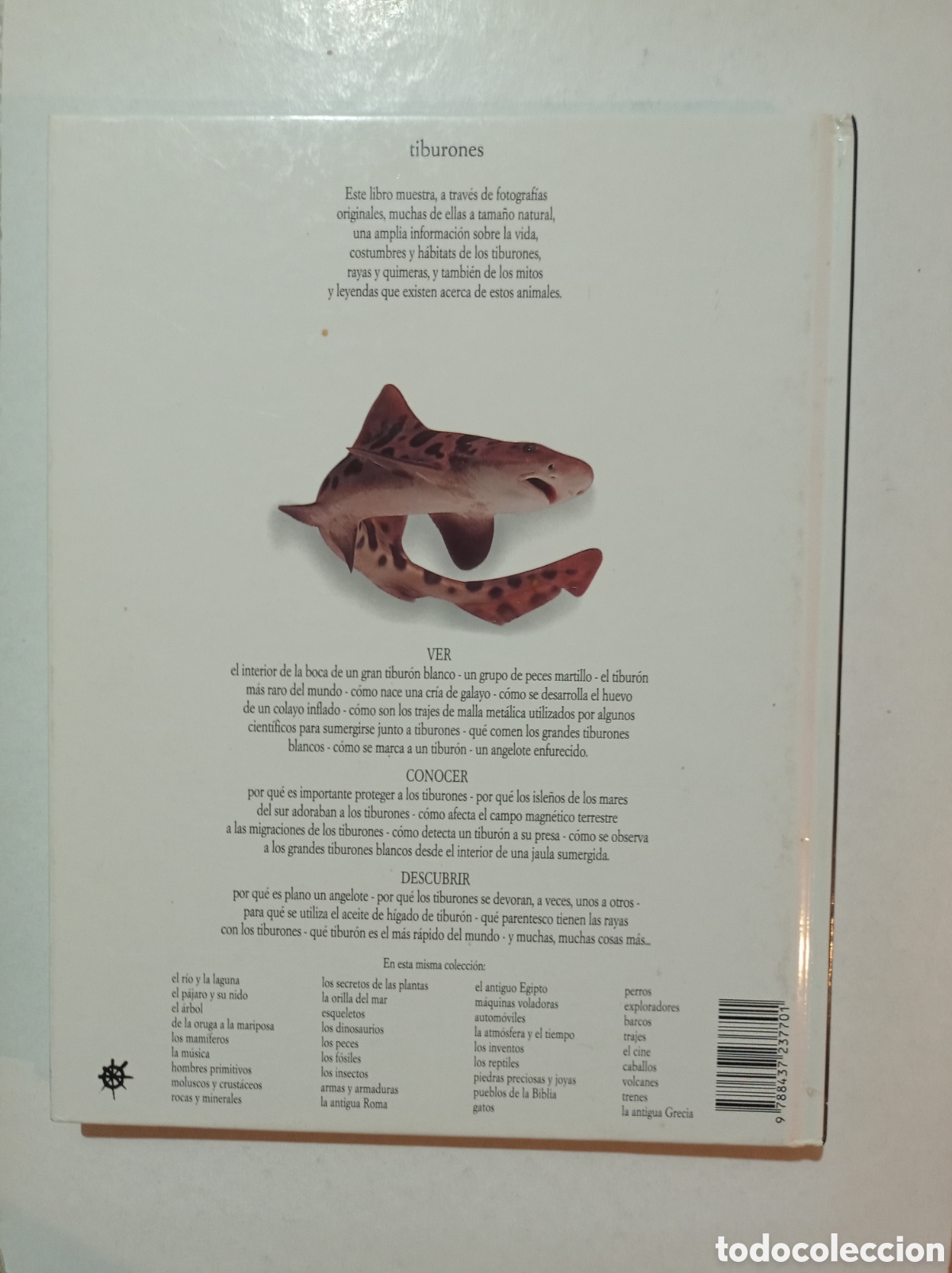 Libros: Tiburones. Miranda MacQuitty. - Foto 2