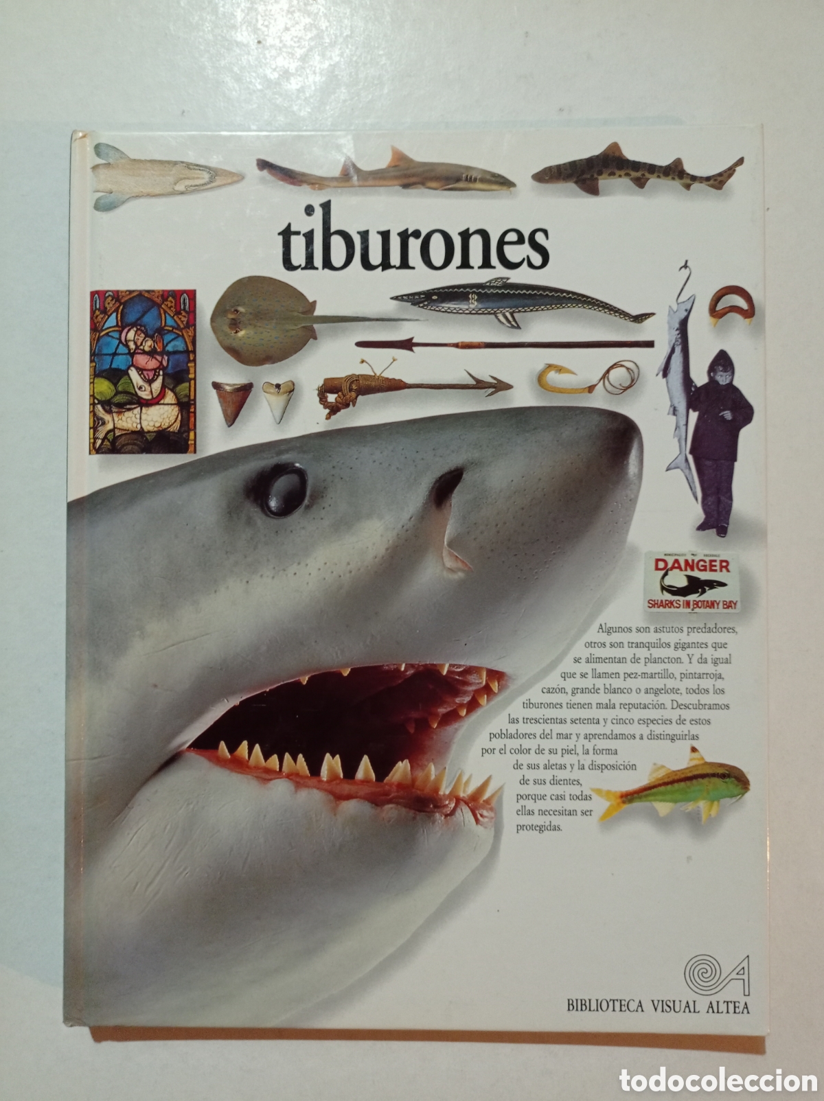 Libros: Tiburones. Miranda MacQuitty. - Foto 1