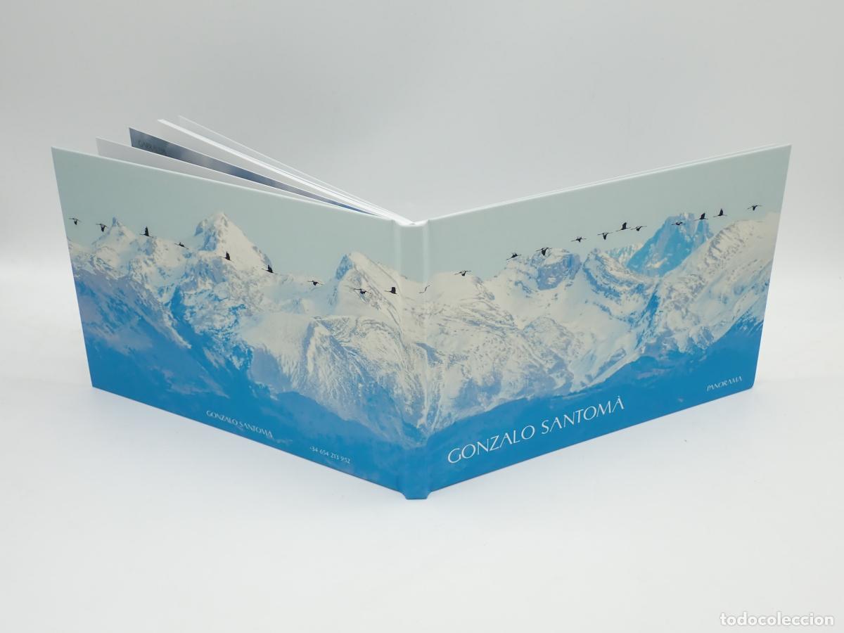 Libros: Panorama - SANTOM&Aacute;, Gonzalo - Foto 1