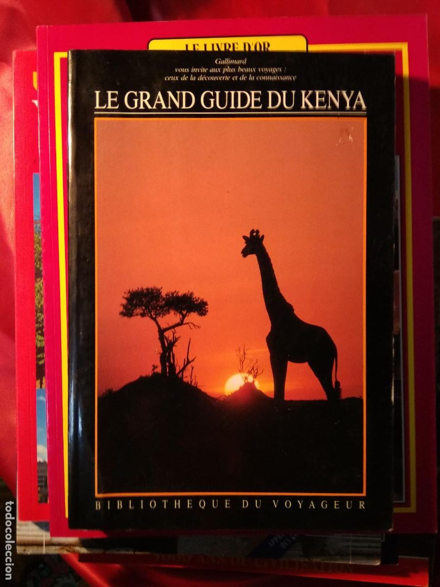 Libros: Le grand guide du Kenya L.32797 Franc&eacute;s - Foto 1